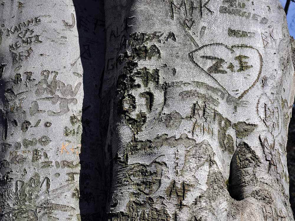 tipologia archi tragici